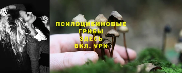 круглые Лагань