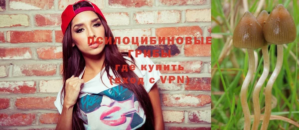 бошки Куйбышев