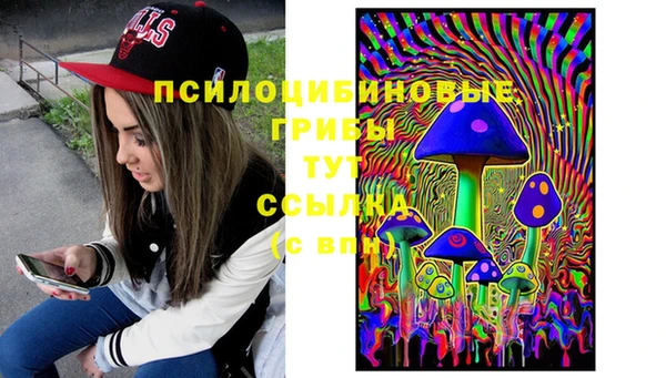 спайс Ладушкин