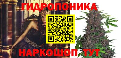 гашик Краснодар