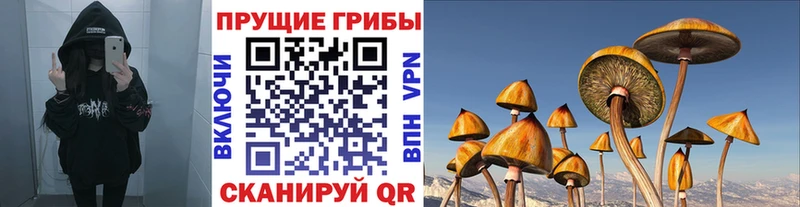 Галлюциногенные грибы мухоморы  Сухой Лог 
