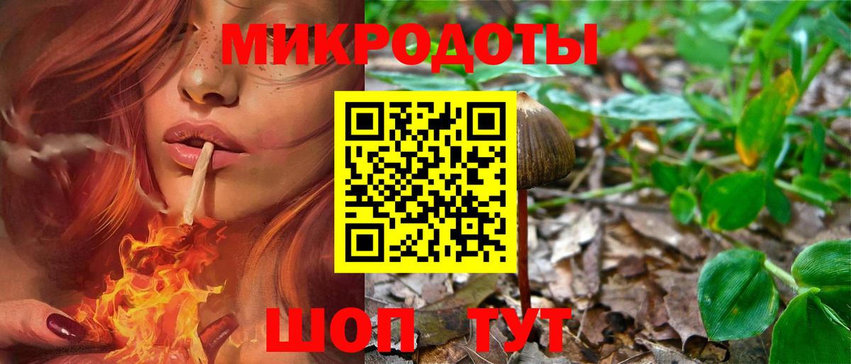 Псилоцибиновые грибы мицелий Сухой Лог
