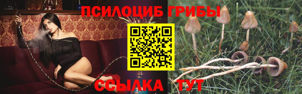 цена наркотик  Вход с VPN  Сухой Лог  Псилоцибиновые грибы Magic Shrooms 