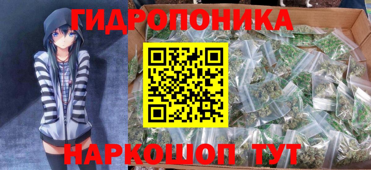 Сухой Лог  Бошки Шишки планчик  Вход с VPN  Каннабис марихуана 
